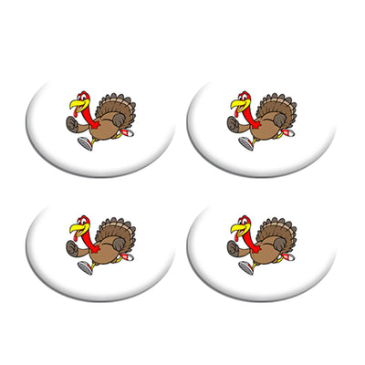 Turkey Run